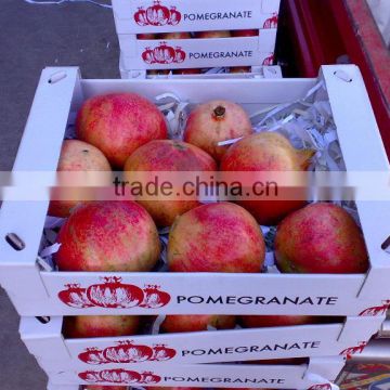 Fresh Pomegranates New Crop GRADE A