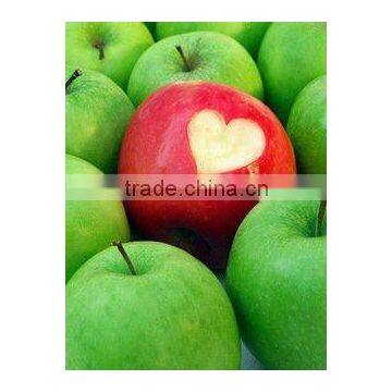 China bnp supply best natural organic green apple seed extract