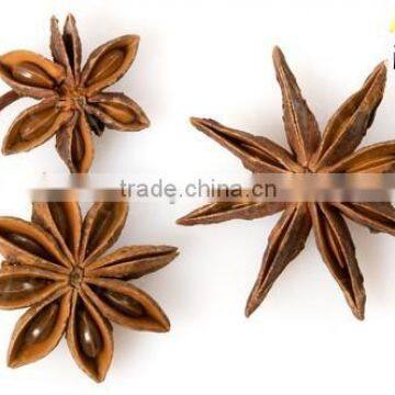 Competitive Price Star Anise from Vietnam