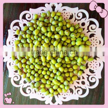 JSX Peeling Sparkled Kidney Beans South Asia Best Quality Green Mung Bean photo-5