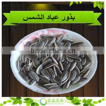 Hot Sell 24/64 Hulled Raw Material 5009 Sunflower seeds