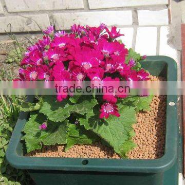 Fine quality for tropical fish gravel soil