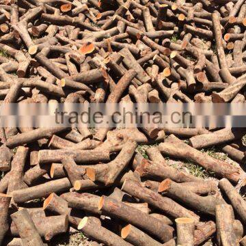 FUEL WOOD, FIREWOOD, TWIGS, WOOD LOGS