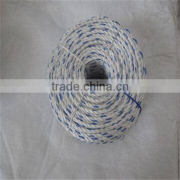 PP DANLINE ROPE