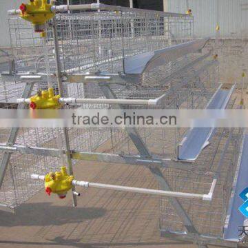 Hot Sales A Type Chicken Cage for Chicken Farm photo-2