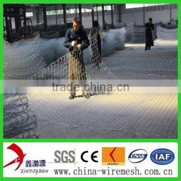Pvc Hexagonal Netting Mesh/hexagonal Mesh photo-6