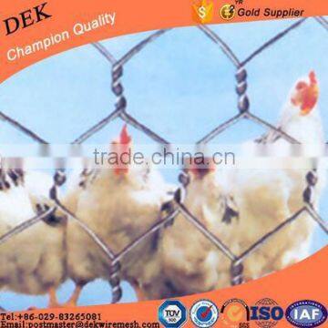 Factory small hole lowest price chicken wire mesh for philippines and all areas