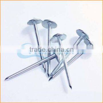 Top Quality Aluminium Roofing Nails Trusted Chuanghe Suppliers From Com photo-2