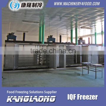 High Quality Mini IQF Freezer With Great Price