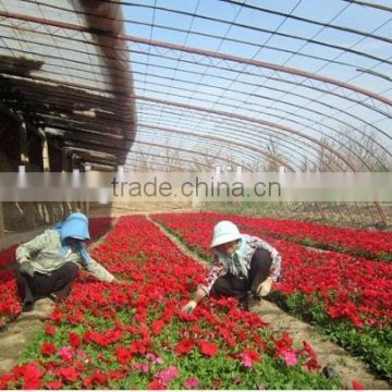 Agriculture Multi Span Plastic Film Greenhouse film