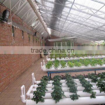 Lettuce System Hydroponic Green House photo-2