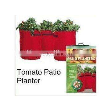 PE tomato planter