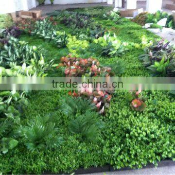 fake green walls/fake plant wall for indoor and outdoor decoration with factory price