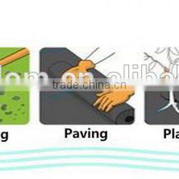 pp Non Woven Fabric Ground Cover photo-6