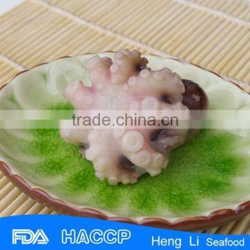 HL0099 hot sale product of baby octopus delicious