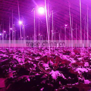 1pcs for Sale Grow Led Light E27 Indoor 7W 6 Red 1 Blue Hydroponic Grow Led Lamp for Flower Growth Vegetable Greenhouse photo-3