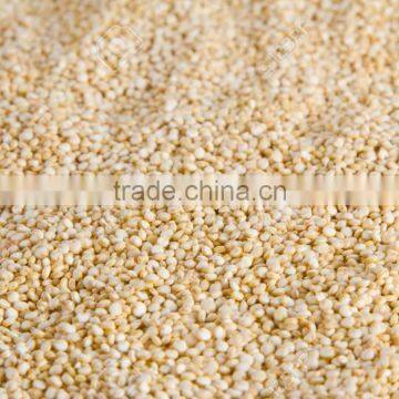 Processed Quinoa Seed