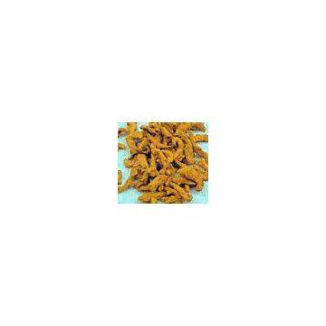 Turmeric Root Extract Powder 95% Curcumin