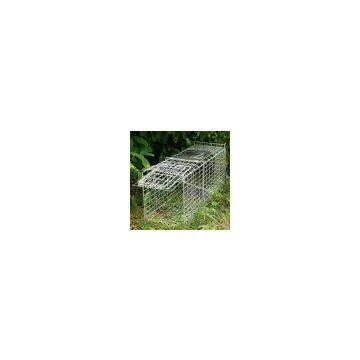 Trap Cage photo-2