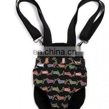 Pet Carrier Dog