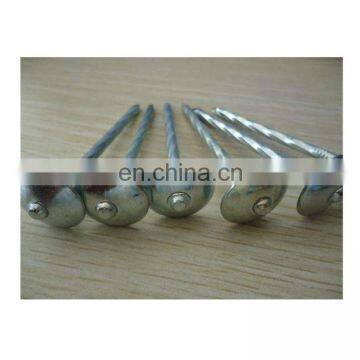 umbrella head galvanized roofing nails