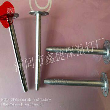 External Wall Metal Insulation Nail High Quality Wall Insulation Nail External Use of Engineering Insulation Nails photo-4