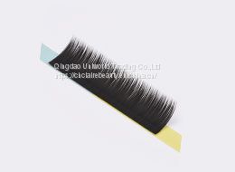 Private Label Eyelash Packaging Wholesale Supplier