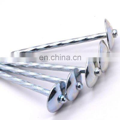 China Supplier Roofing Nails Suppliers in China With High Quality and Low Price Insulated photo-2