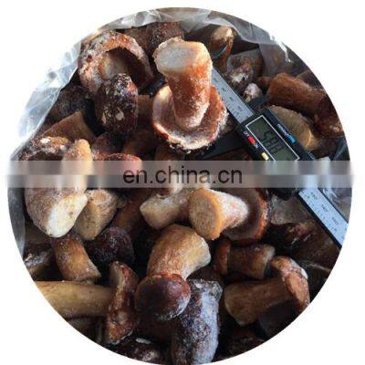 Wild Dried sliced porcini mushroom  boletus edulis