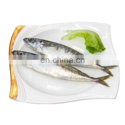 high quality muroaji frozen round scad fish frozen layang scad decapterus macrosoma