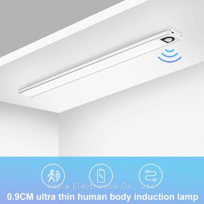 Factory 20cm 30cm Length Multi-function Portable Motion Sensor Human Induction bedside LED Night Light