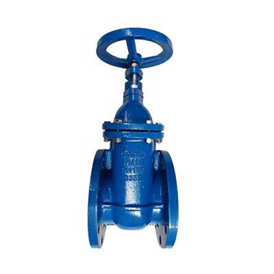 Industrial Water Control Gate Valve with DIN F4 Flange, PN10/PN16 Pressure, Cast Iron Construction