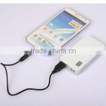 OEM High Capacity Mini Mobile Power Bank With Two LED Flashlight+Digital Display Screen Power Indicator Design ,PB010 photo-6