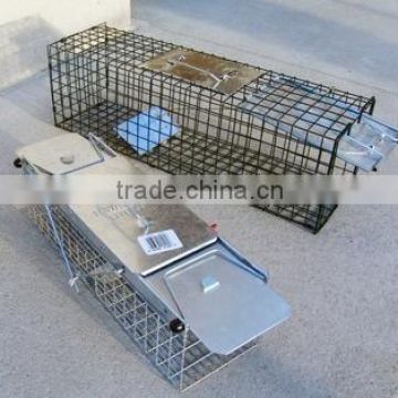 Rat Trap