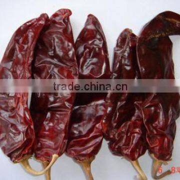 Chinese Exported Dry Sweet Paprika Whole photo-3