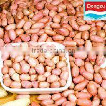 round peanut kernel