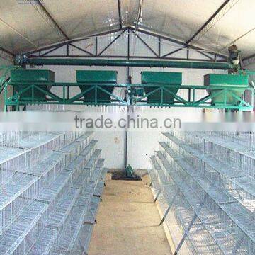 battery quail rearing cage for poultry layer quail farm                        
                                                Quality Choice