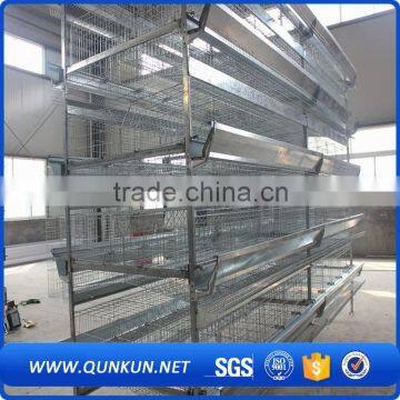 automatic chicken layer poultry control shed equipment