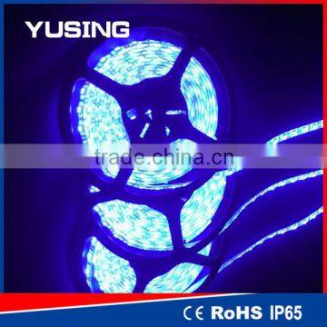 Blue Color 2 Years Warranty Waterproof LED Light Strip Wholesale CE