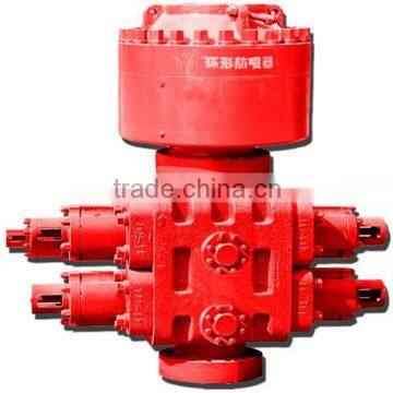 Petroleum Equipment API & ISO Standard Double Ram Type Preventer for Oilfield photo-3