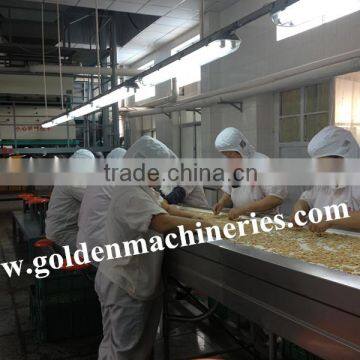 Motor Driven Stainless Steel Peanut Sorting Belt PVC Manual Sorting