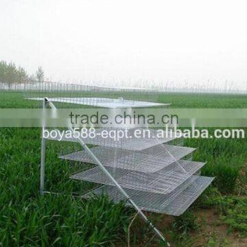 the Best Selling Products! Quail Cages and Quail Farm Equipment photo-2