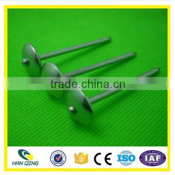 Hot Dipped Galvanized Roofing Nail With Ring Shank photo-3