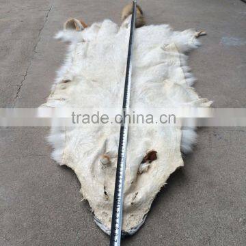 China Wholesale Raw Wolf Fur / Real Wolf Fur Skin / Natural Wolf Pelt photo-3