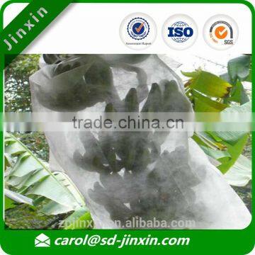 Wholesale UV Treated Banana Protection Bag, Banana Sleeve, Banana Growing Protection Cover photo-2