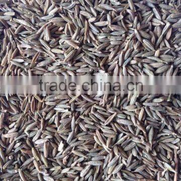 We are supplying Fennel seed with good quality