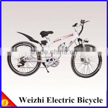 HIgh Quality Weizhi Electric Bicycle 48V 10Ah Lithium Battery