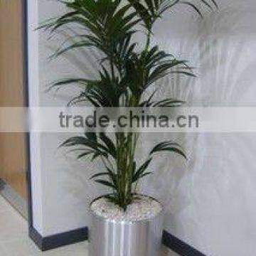 Customized Stainless Steel Indoor Luxury Flower Pot for Hotel