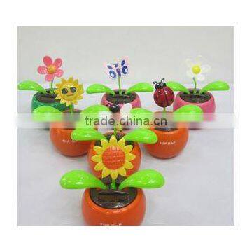 solar flower