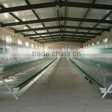 Layer Poultry Cages For Nigeria/Africa